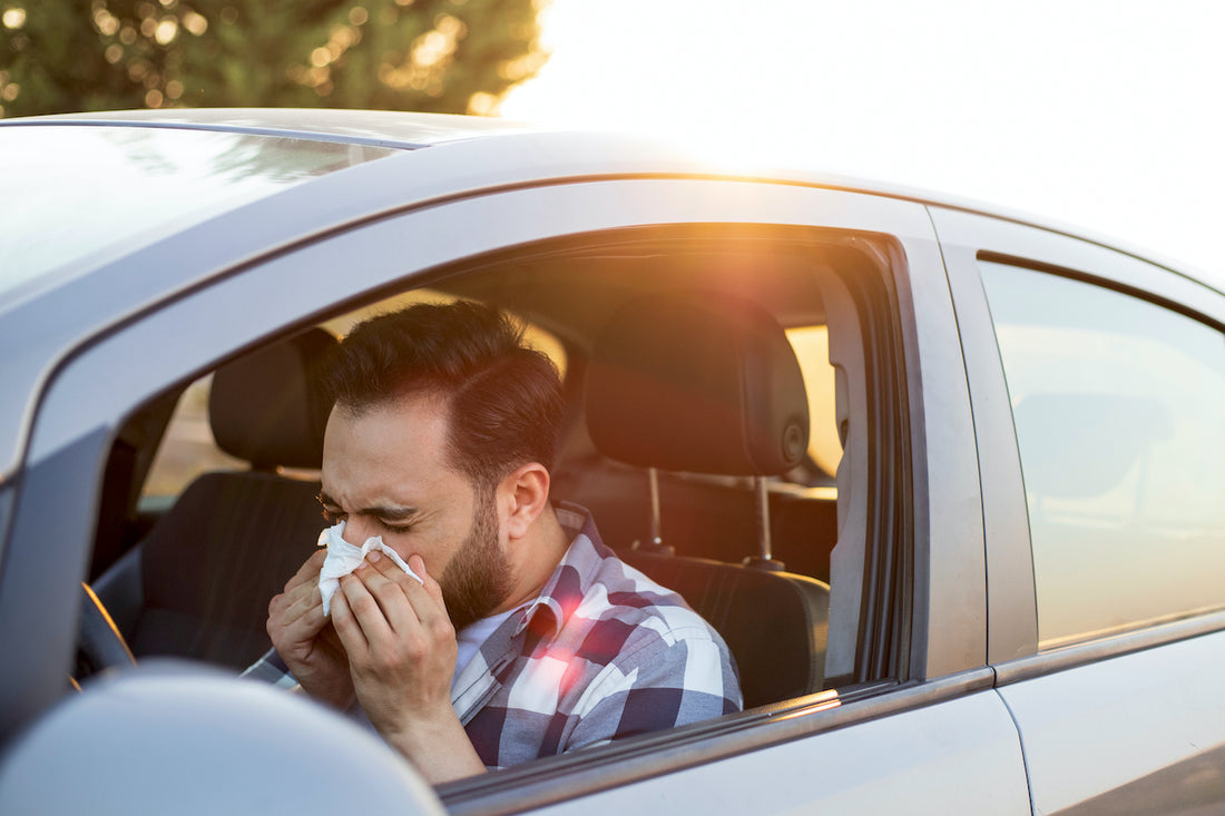 Conducir con alergia: consejos para aliviar los síntomas al volante