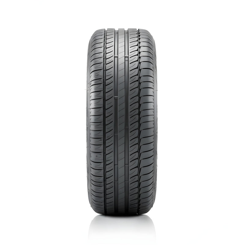 INSA ECO ECOEVOLUTION PLUS