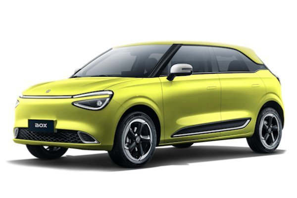 Dongfeng Nammi Box