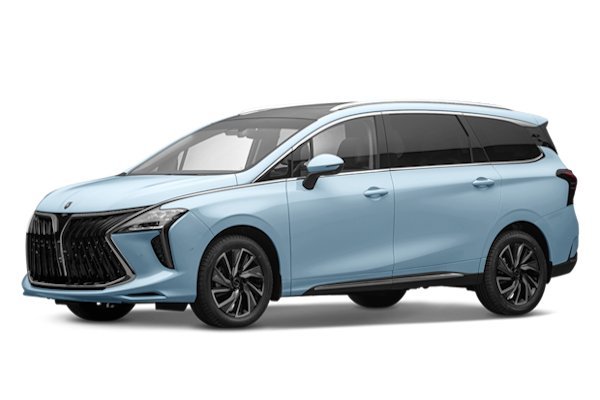 Dongfeng Forthing U-Tour M4 Yacht