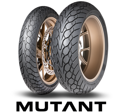 neumaticos-131901170-60x17-dunlop-mutant-72wmpluss