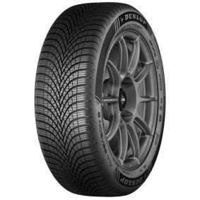 neumaticos-229491225-45x17-dunlop-allseason294w